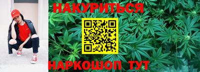 метадон Новодвинск