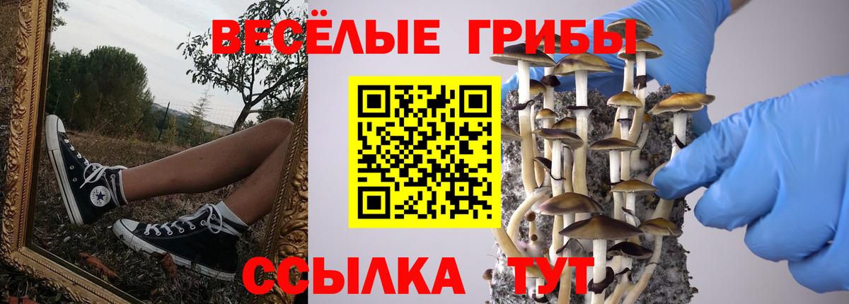 Галлюциногенные грибы мицелий  Вход с VPN  Галлюциногенные грибы мицелий  как найти закладки  Тара 